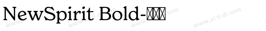 NewSpirit Bold字体转换